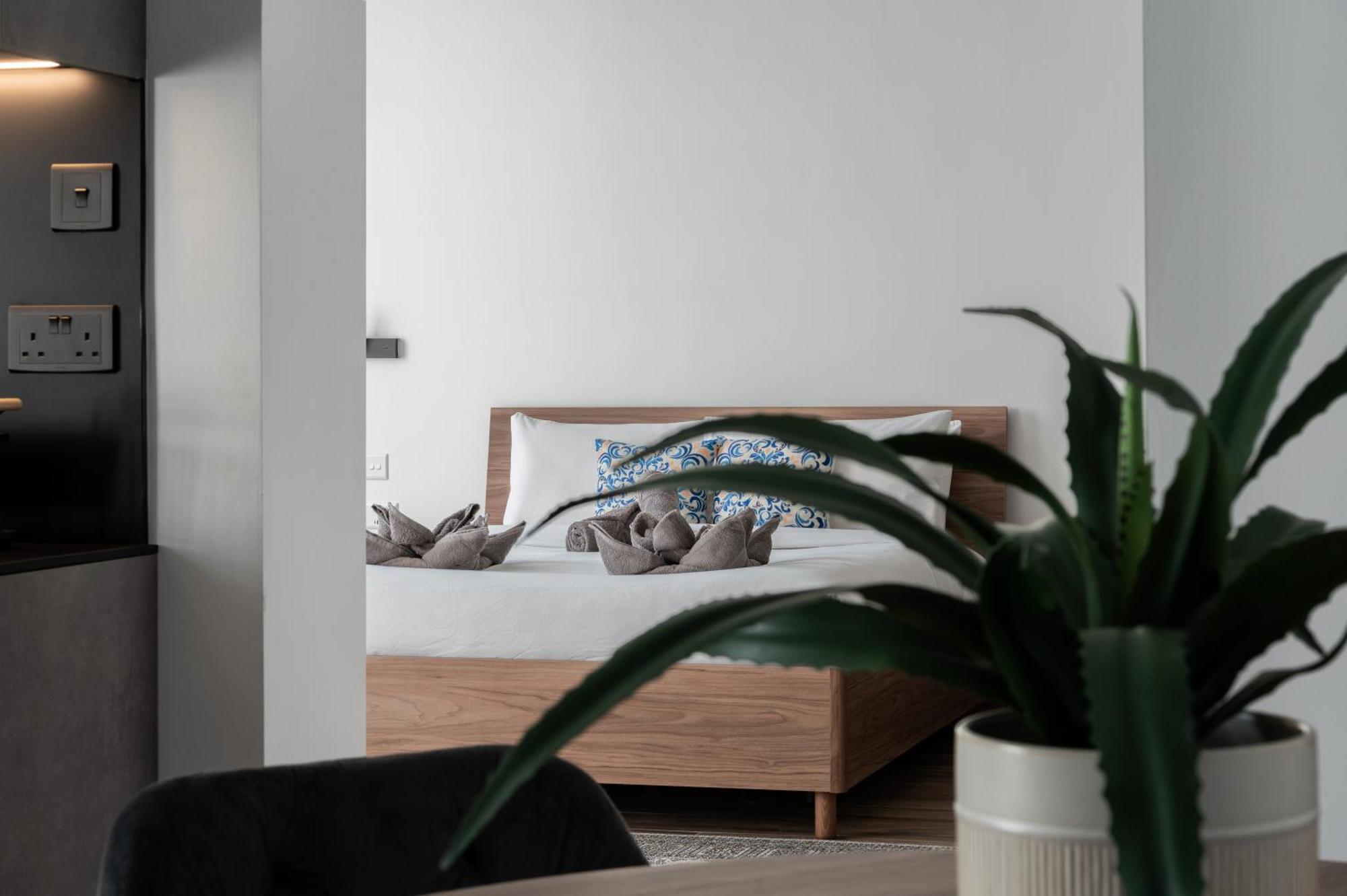 Collection - Felix Appartement