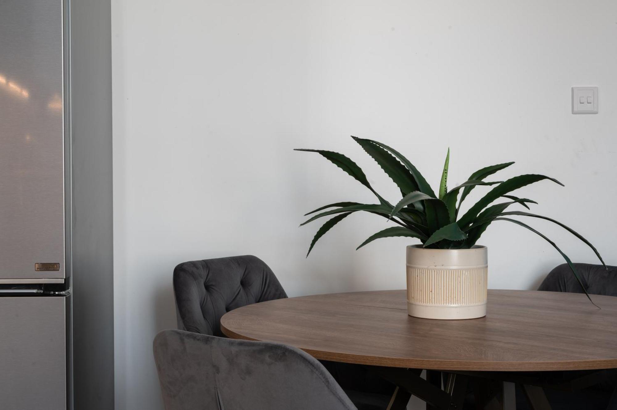 Appartement Collection - Felix